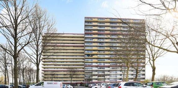 Oost Dorsch 0ong, 1504 Zaandam, Nederland - Photo 2