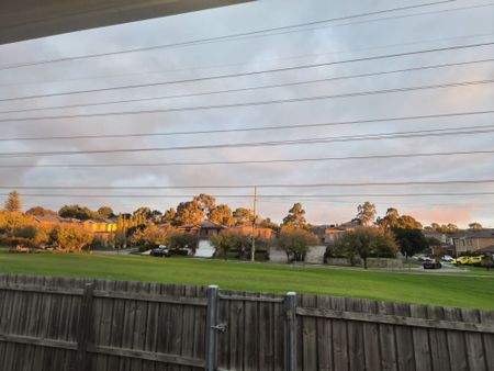Mount Waverley - Photo 5