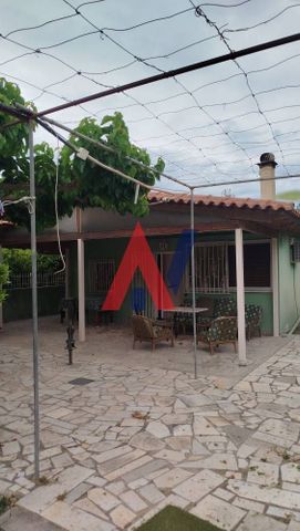 Μονοκατοικία για ενοικίαση Ριζόμυλος (Διακοπτό) - Photo 4