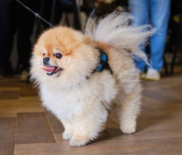 Carter House, SL6 1EB, Maidenhead - Photo 1