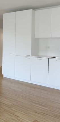 Moderne 2-Zimmerwohnung im Bachlettenquartier - Foto 1
