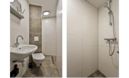 Koningspleisterplaats - Foto 4