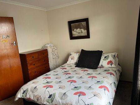 Home in Awapuni - Photo 4