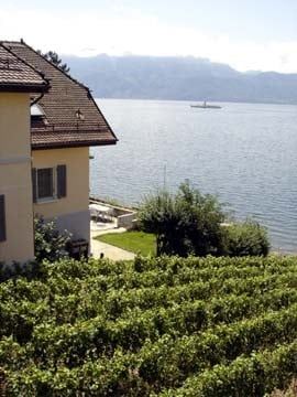 Villa au bord du lac à Villette – Cadre exceptionnel au cœur du Lavaux - Foto 1
