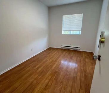 Unit #4, 3290 Main Street, Vancouver — unit #4 - Photo 5