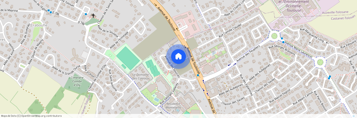 58 Avenue de Toulouse, 31320, Castanet Tolosan