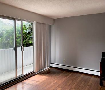 Kitsilano close to beach one bed room with balcony - Photo 1