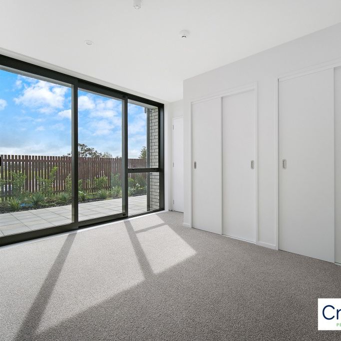 Brand New Apartment at the heart of Te Atatu South - Photo 1