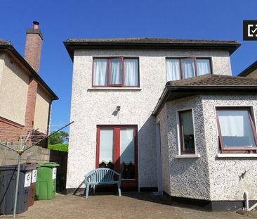 Room in a 4Bedroom Apartment for rent in Rathfarnham, Dublin - Photo 3