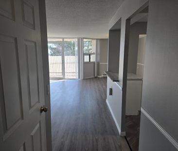 For Lease - 323 Colborne Street Unit# 206, London East, Ontario - Photo 4