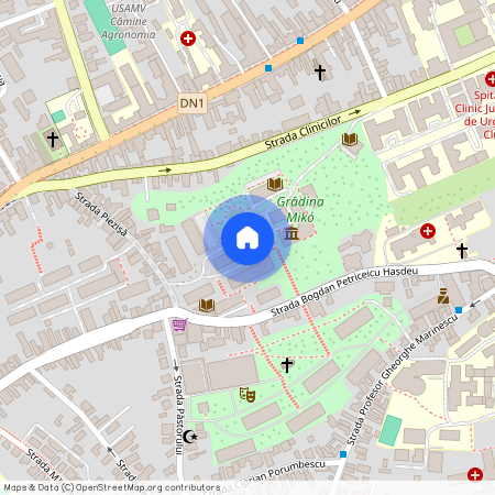 Central, Cluj-Napoca