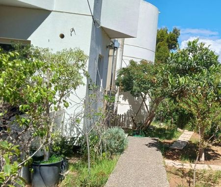 Διαμέρισμα για ενοικίαση Κέντρο (Βουλιαγμένη) - Φωτογραφία 5