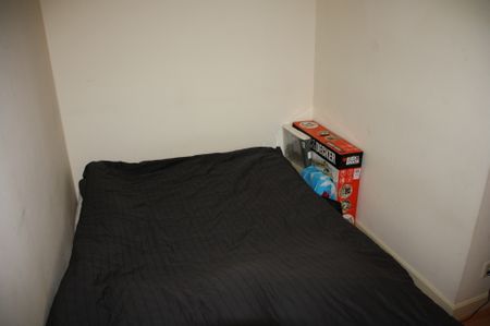 Ruim 2-kamer appartement in Utrecht Centrum te huur - Photo 5