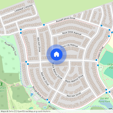 41 BLACK WALNUT DRIVE, Markham, Legacy