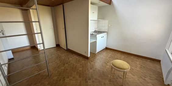 Location Appartement 1 pièce 20m² VONNAS 01540 - Photo 3