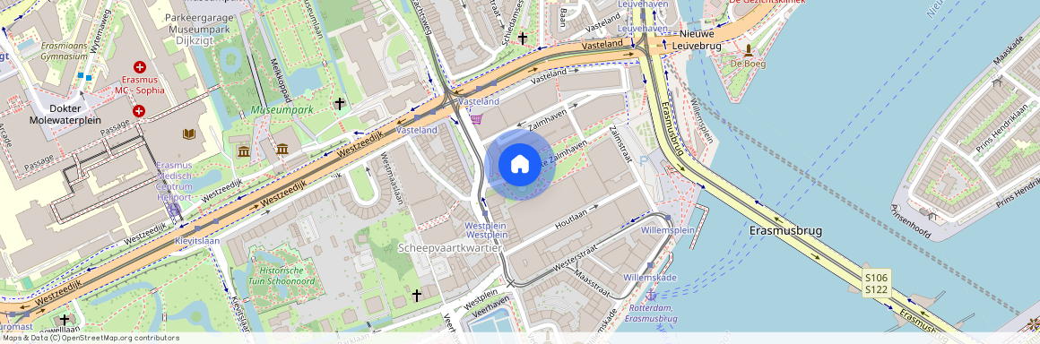 Nieuwe Werk, 3016 DT, Gedempte Zalmhaven, Rotterdam