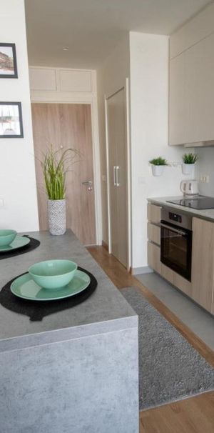 Oferim spre inchiriere apartament in zona Florilor - Photo 1
