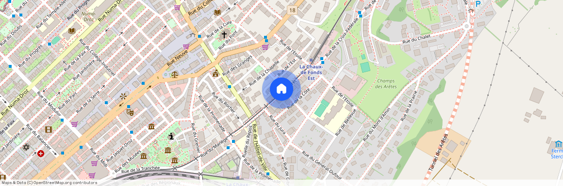 2300, La Chaux-de-Fonds, Rue Du Crêt