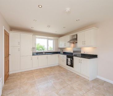 10 St Patricks Way, Downpatrick, BT30 7DJ - Photo 6