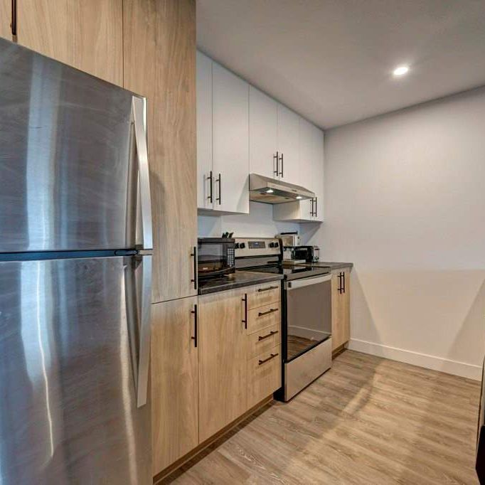 1 CH - 1 SDB - Longueuil - $1,495 /mo - Photo 1