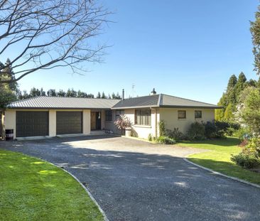 Sunny Haven - Katikati - Photo 6