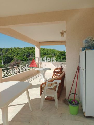 Μονοκατοικία για ενοικίαση - Μαρκόπουλο, - Photo 5