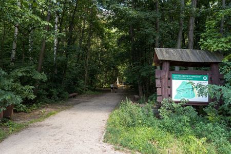 Dla miłośników spacerów po lesie - Фото 3