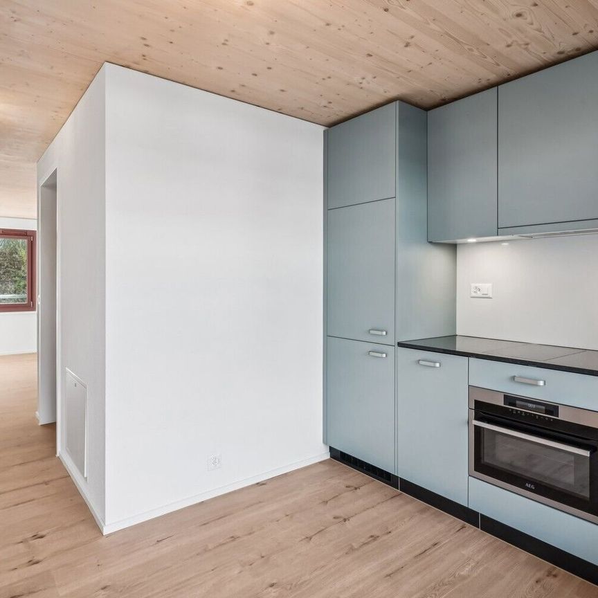 Your new home in the Stadtsägi - Photo 1