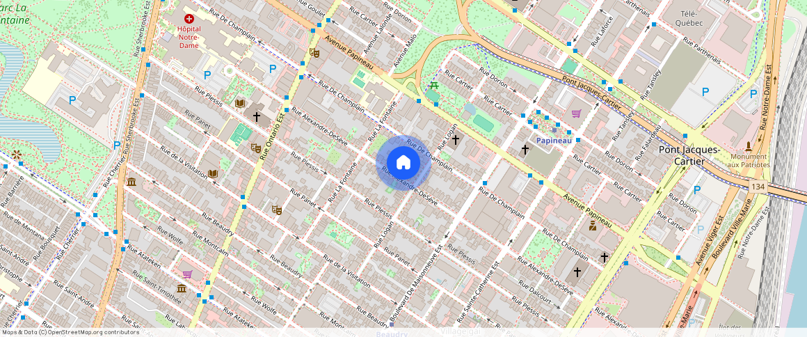 1679 Rue Alexandre-DeSève, Ville-Marie, Ville-Marie, Ile de Montréal, H2L 2X6