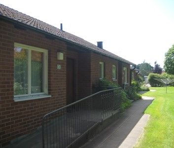 1 ROK - Photo 1