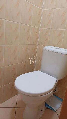 Pronájem prostorného bytu 1+kk s garážovým stáním - Slezské předměstí - Photo 5