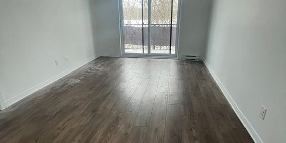 Superbe Appartement 2CC BLV St-Louis - Photo 3