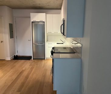 Appartement à louer - Montréal (Ville-Marie) (Centre Ouest) - Photo 6