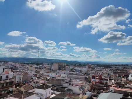 Alzira, Valencian Community 46600 - Photo 2