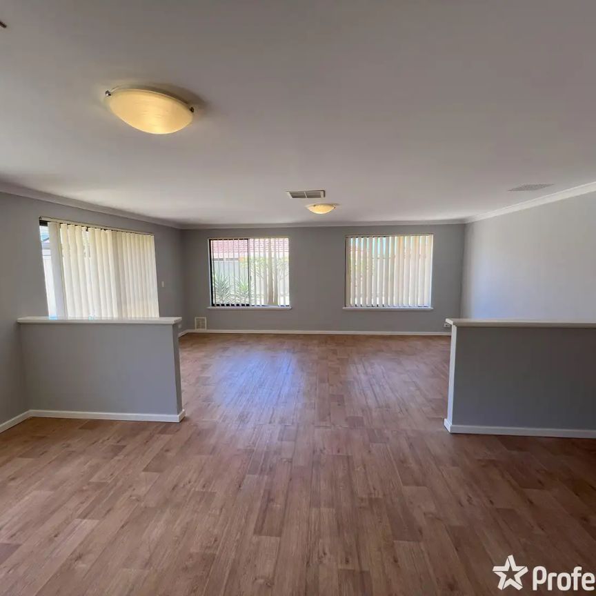 “Caladenia School Zone” - Photo 1