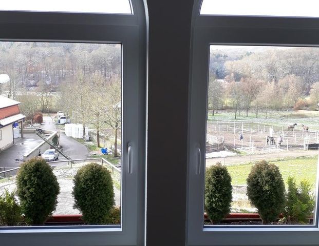 Reizende Singlewohnung an ruhige Person zu vermieten - Foto 1