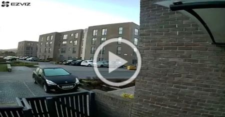 Room in a Shared House, Ellis Drive, EH14 - Photo 3