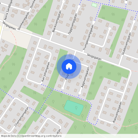 Flugsvampgatan, Färjestaden