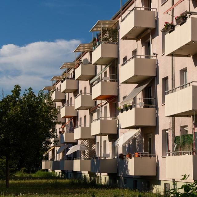 Familien aufgepasst! Frisch sanierte 4 Raum-Wohnung zum Wohlfühlen - Photo 1