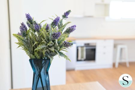 10B Hunter Road, Nords Wharf NSW 2281 - House For Rent | Domain - Photo 3