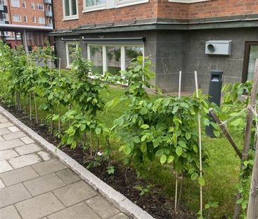 Sturegatan 7 - Photo 3