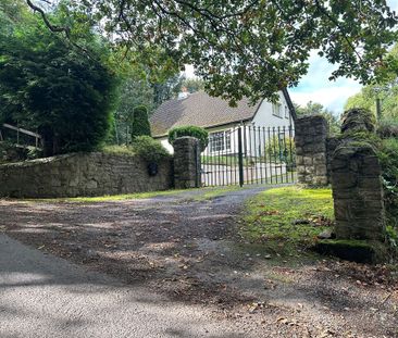 Hollybank, Glaskenny, Enniskerry, Wicklow - Photo 3