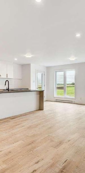 PROMO 1 mois gratuit! Beau 5 1/2 neuf ! Juillet/Aout 2025, Huntingdon - Photo 1