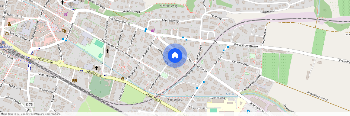 8570, Weinfelden, Amriswilerstrasse, 64