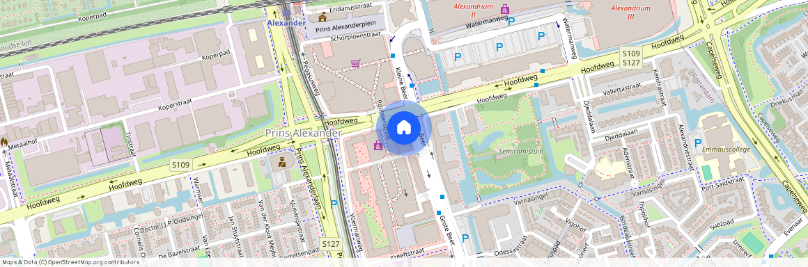 Grote Beer, 3, Rotterdam