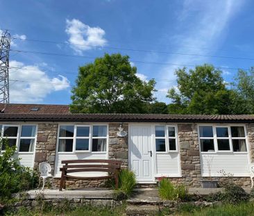 1 bedroom cottage to rent - Photo 1