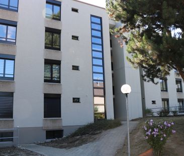 Wo Moderne auf Charme trifft: Belchenstrasse 23 - Photo 6