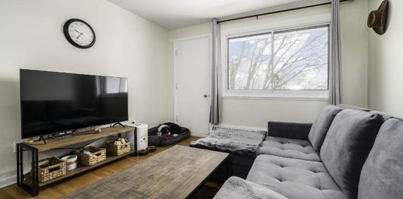 Appartement 3 ½ à louer Sainte-Foy / Sillery janvier 2026 - Photo 2