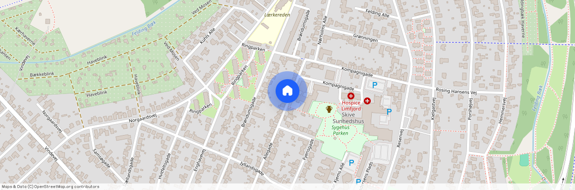 Allegade 53 Kælderen TH 7800 Skive