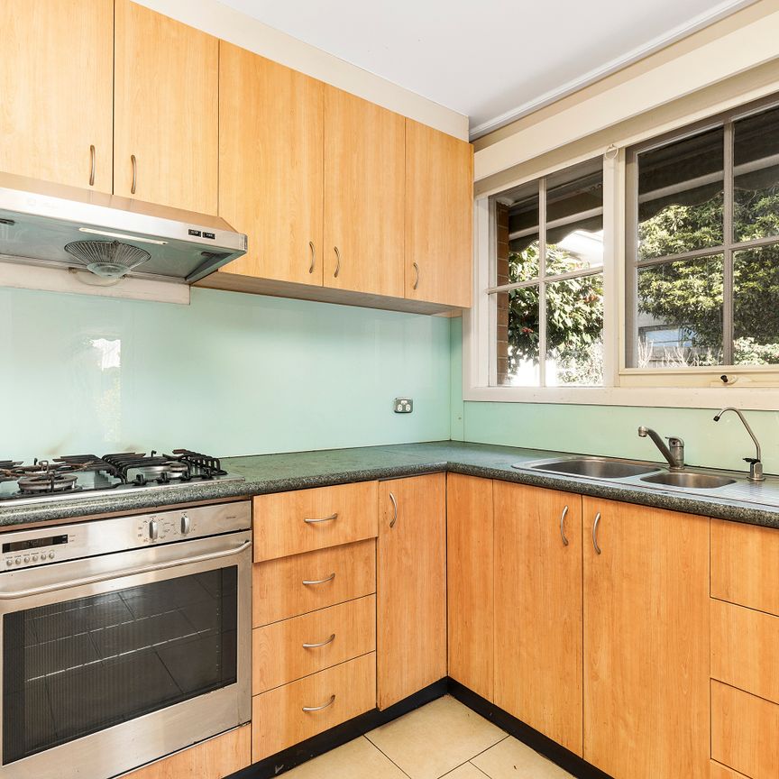 1/4 Raynes Street, Balwyn VIC 3103 - Apartment For Rent | Domain - Photo 1